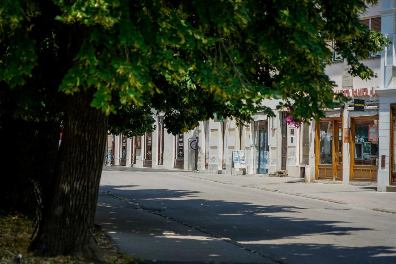 Apartment Happy Day Varazdin Bagian luar foto
